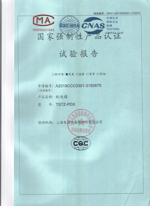 低壓試驗(yàn)報(bào)告